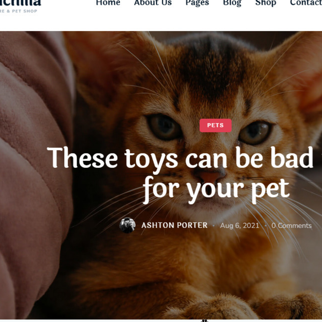 Dating Pet Club WordPress Responsive Website