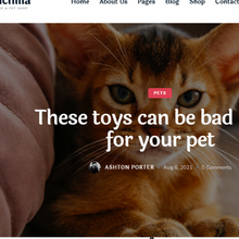Dating Pet Club WordPress Responsive Website