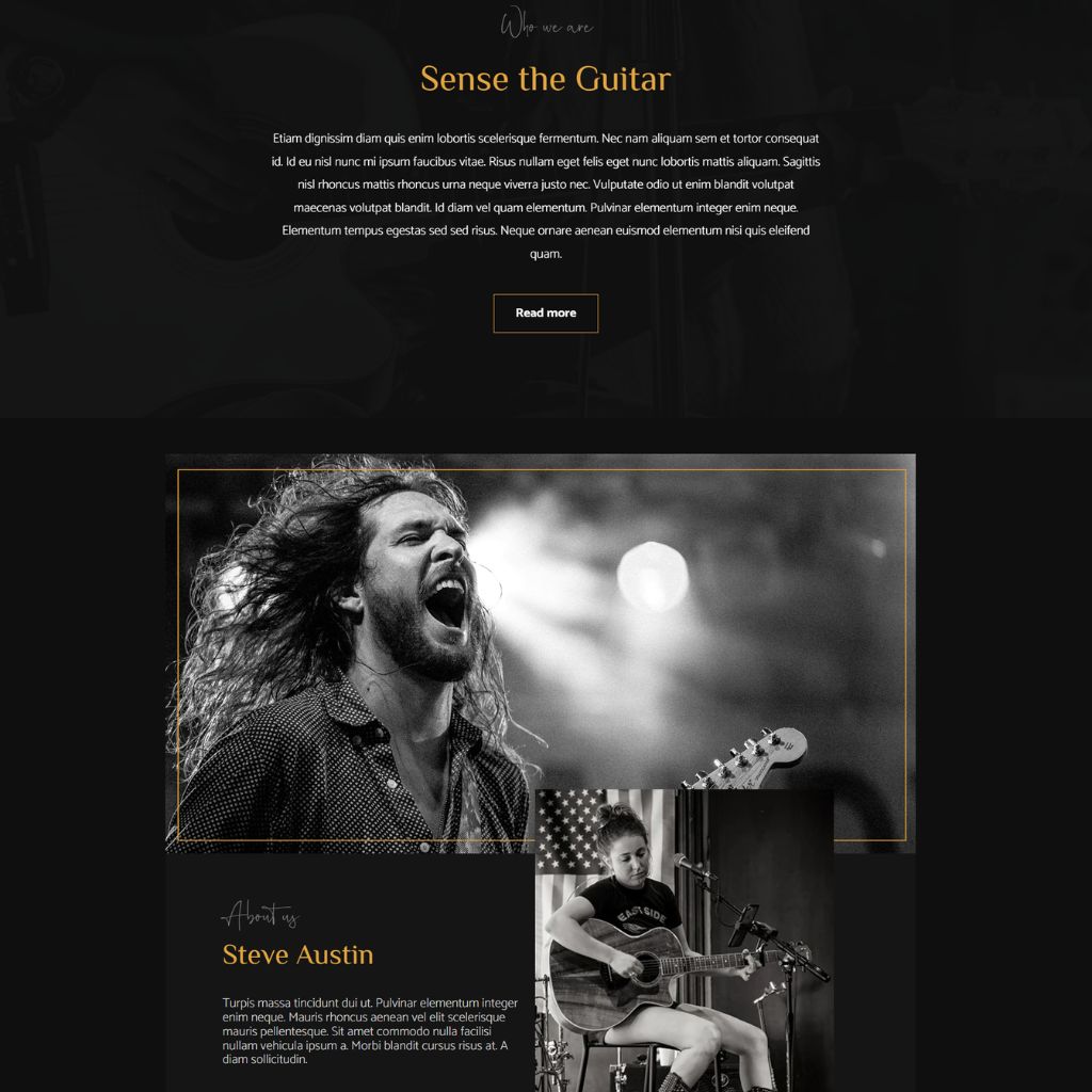 Guitar Shop Shopify Shopping Website