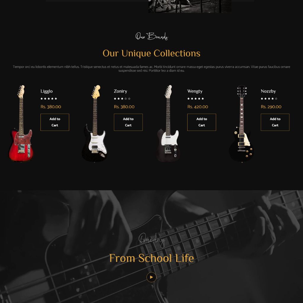 Guitar Shop Shopify Shopping Website