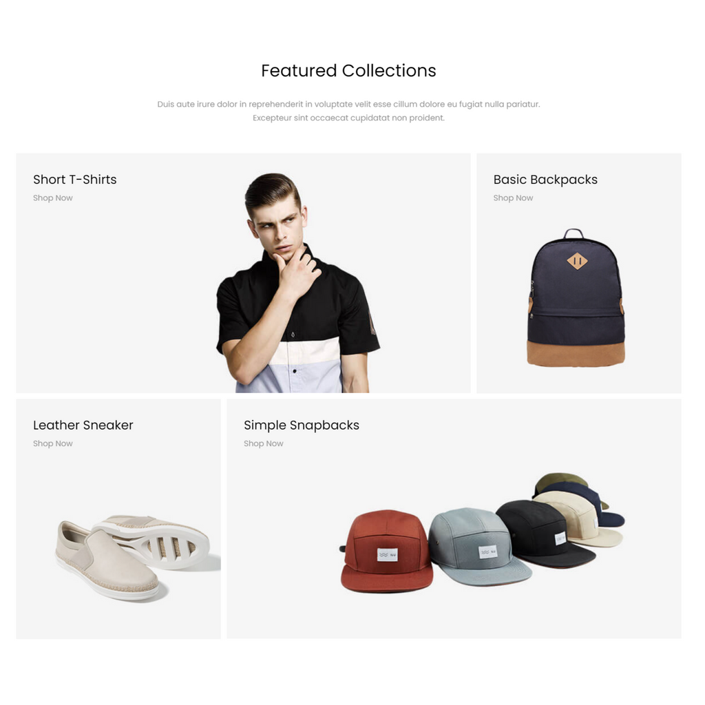 Minimalist WooCommerce WordPress Responsive Website