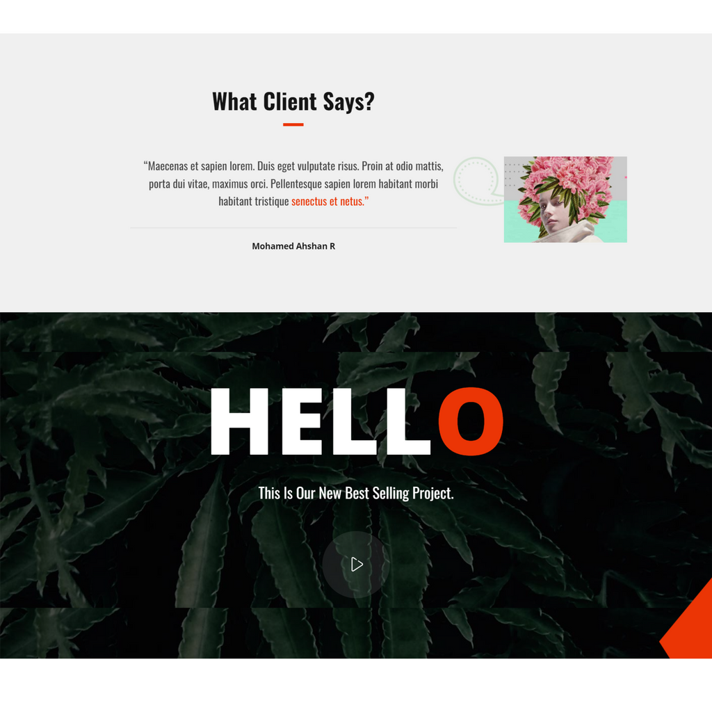 Creative Agency Portfolio WordPress Responsive Website