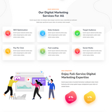 SEO & Marketing WordPress Responsive Website