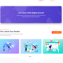SEO & Marketing WordPress Responsive Website