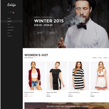 Ecommerce  Multi Concept Shopify Website