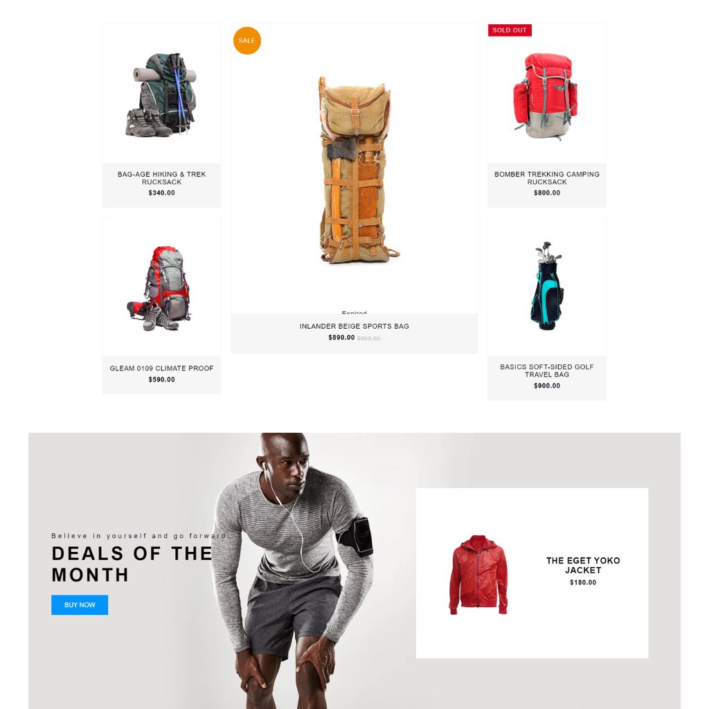 Sport Gadget Shopify Shopping Website