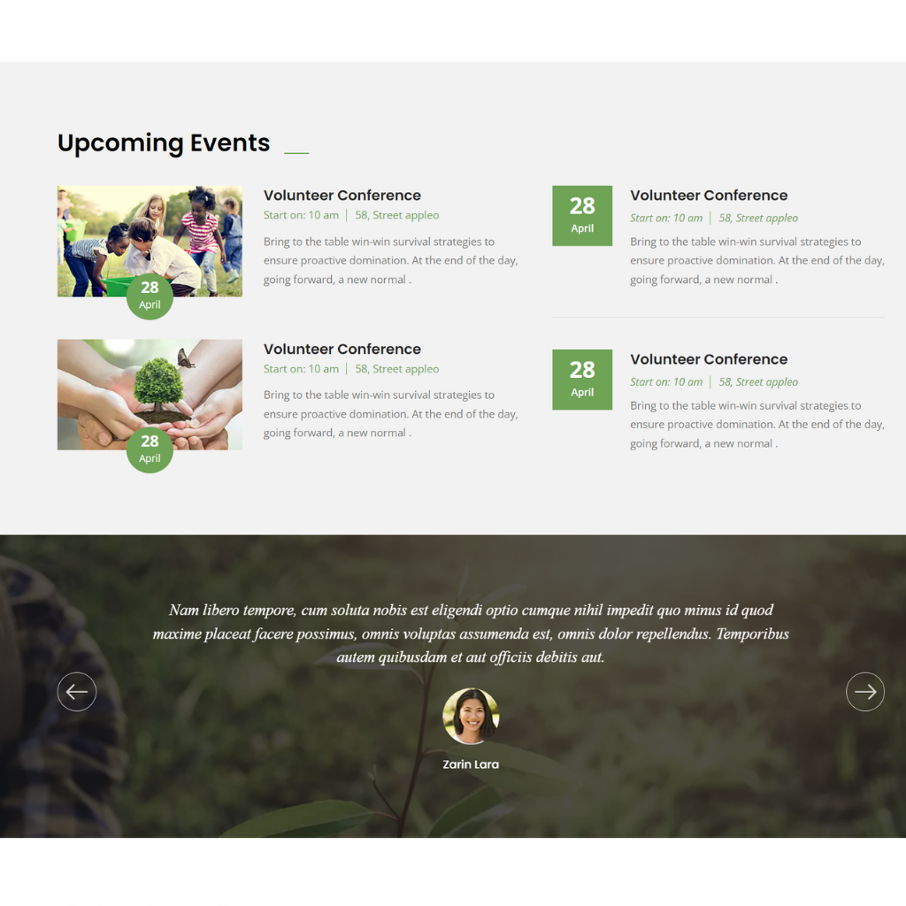 Save Future WordPress Responsive Website