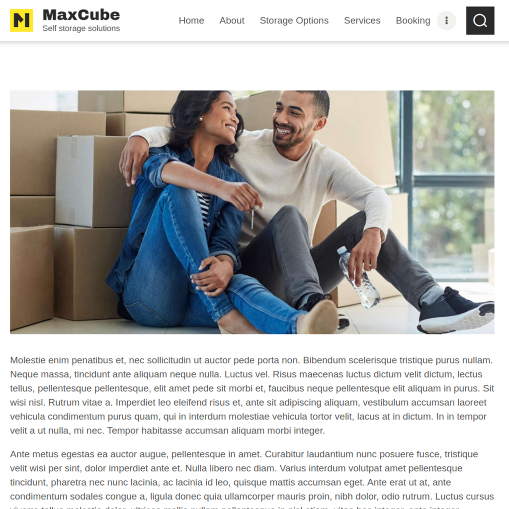 Modern Moving & Storage Company WordPress Website