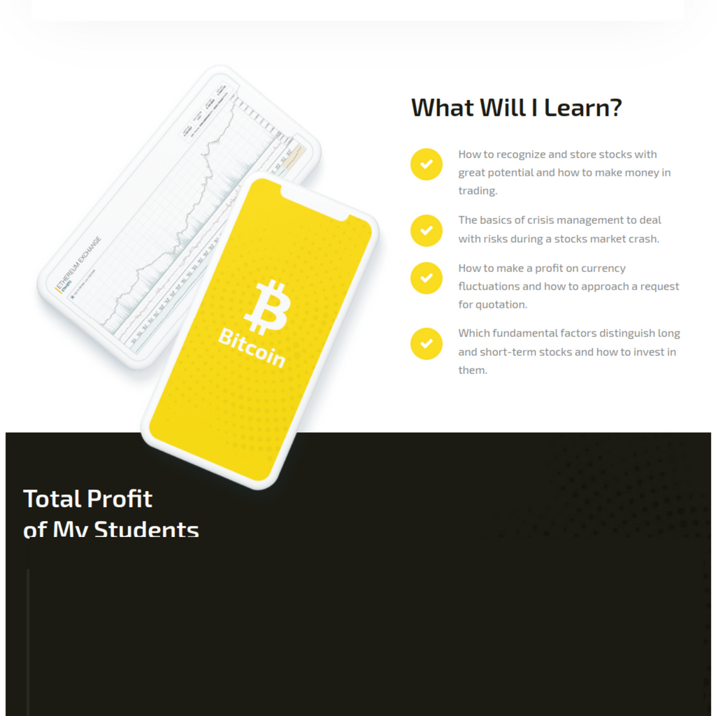Cryptocurrency Advisor WordPress Website