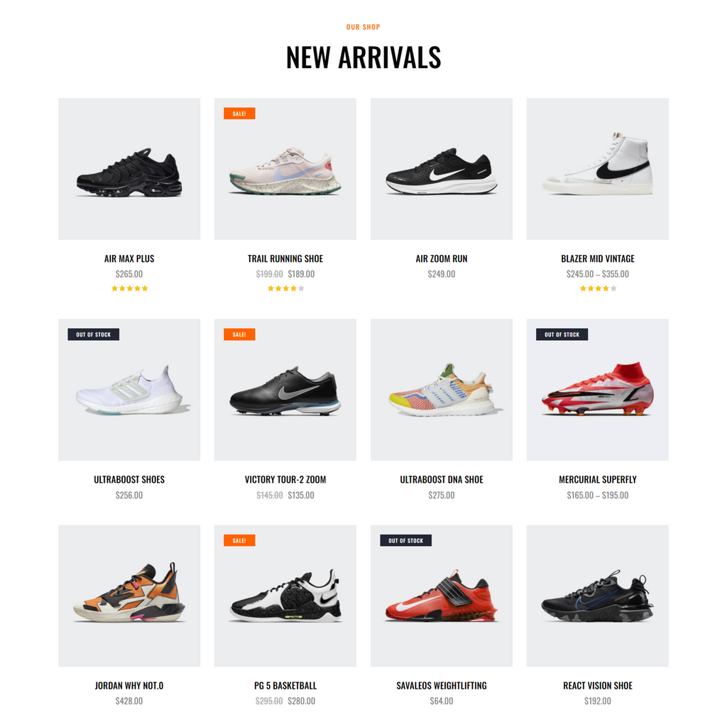 Extreme Sports Clothing & Equipment WordPress Responsive Website