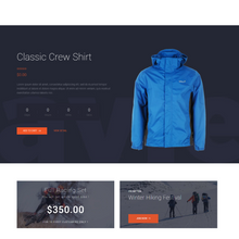 Classy Shoes Shopify Shopping Website
