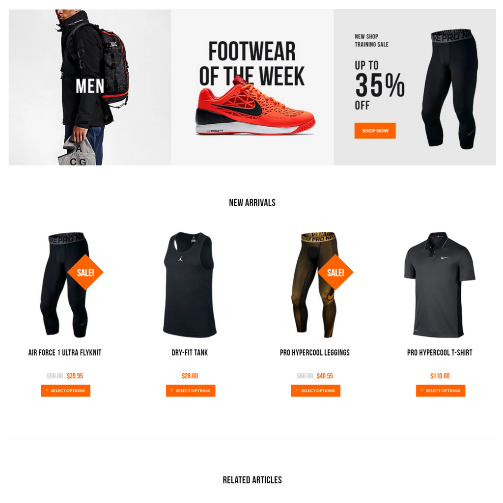 All In One Store WordPress Responsive Website