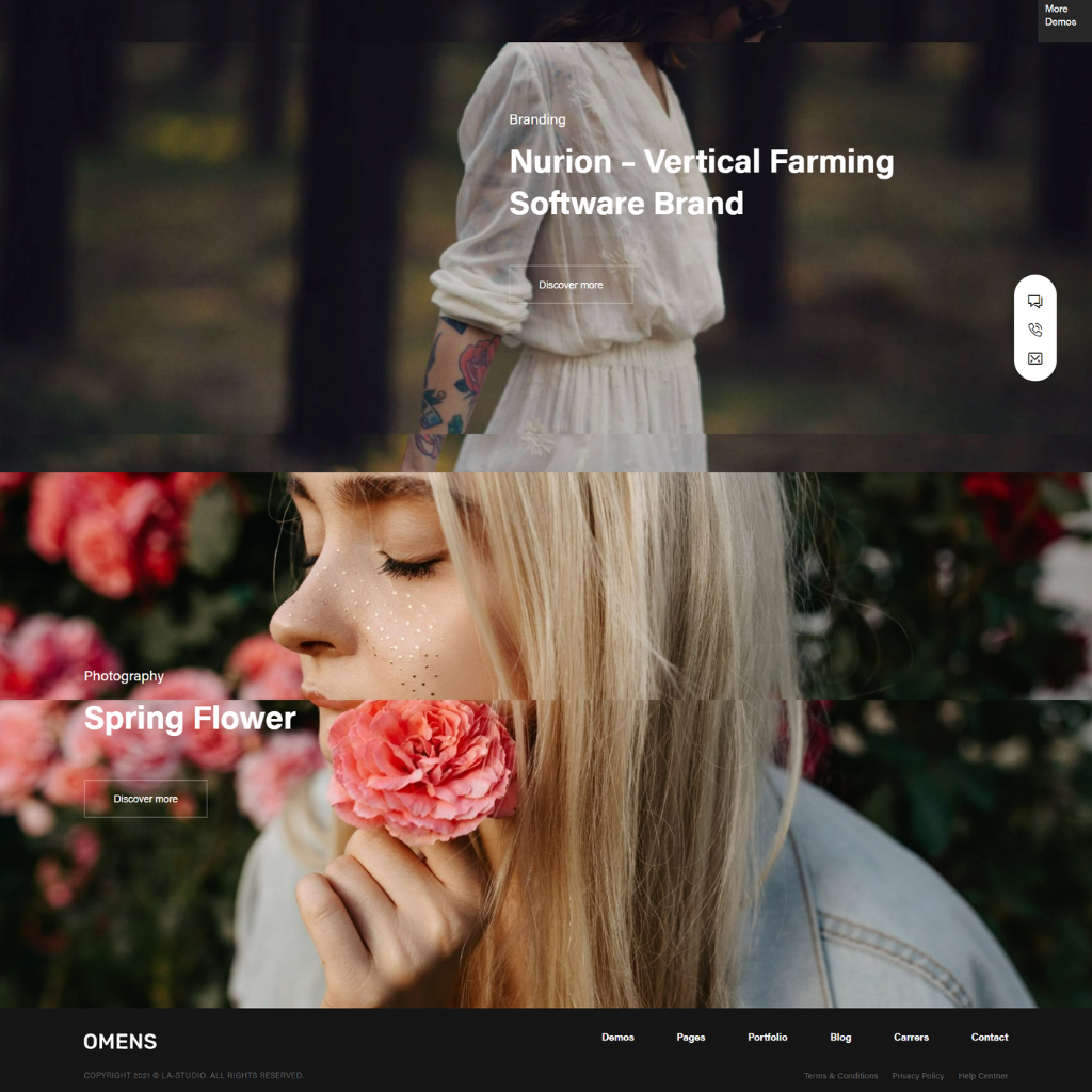 Software Brand WordPress Responsive Website