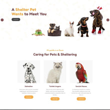 All Pet Product Shopify Shopping Website