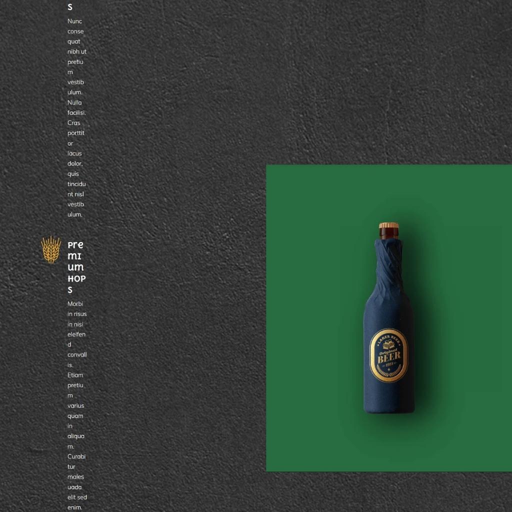 Beer Shope Shopify Shopping Website