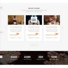 Fundrize Donation WordPress Responsive Website