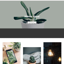 Cozy Home Decor Store Shopify Shopping Website