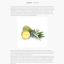 Fruits & Vegetables WordPress Responsive Website