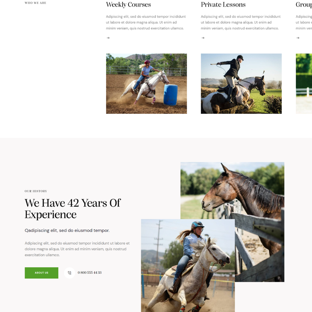 Horse Race Club WordPress Responsive Website
