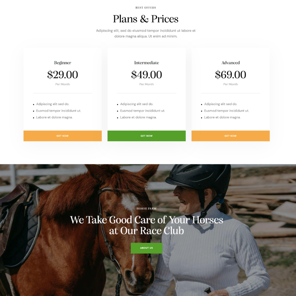 Horse Race Club WordPress Responsive Website