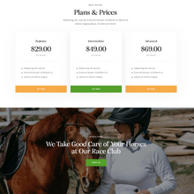 Horse Race Club WordPress Responsive Website