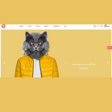 Men and Women Shopping  WordPress Responsive Website