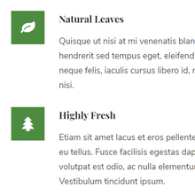 Green Tea Shopify Website