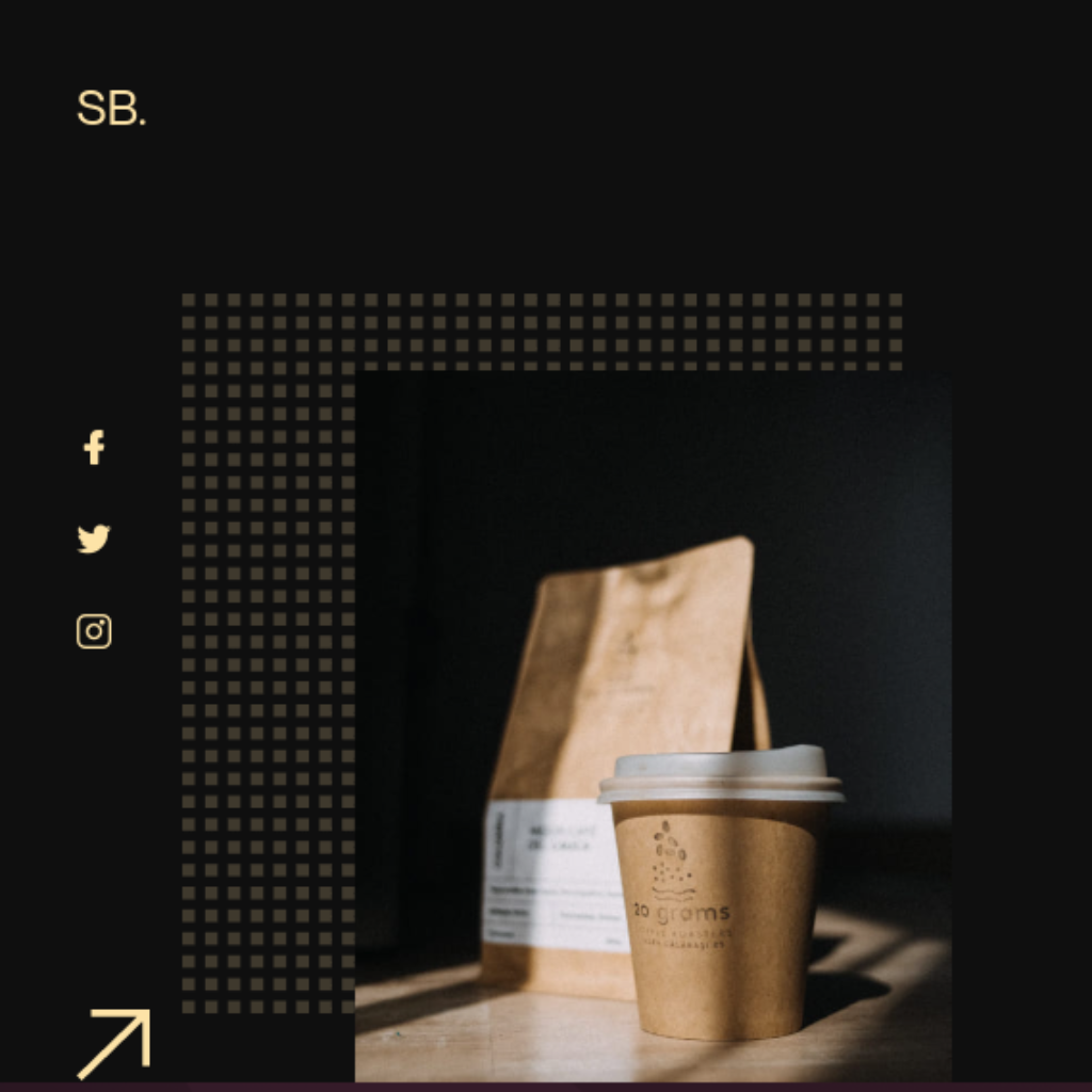 Customizable Portfolio  WordPress Website