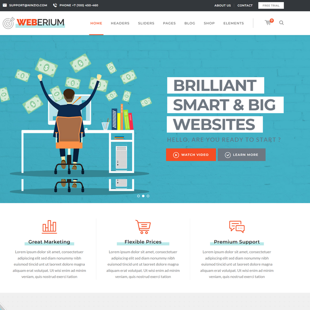 Digital Agency and SEO WordPress Responsive Website