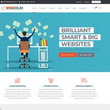 Digital Agency and SEO WordPress Responsive Website