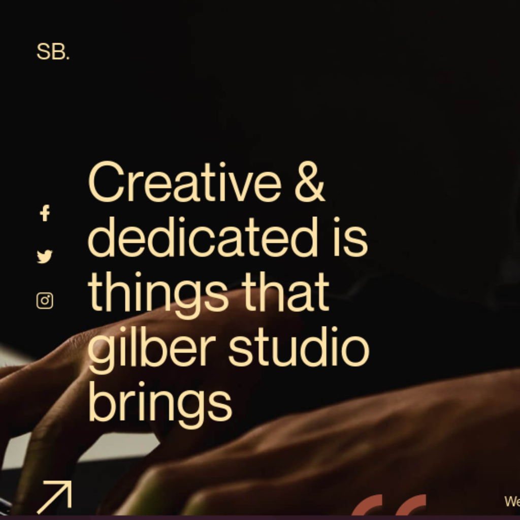Customizable Portfolio  WordPress Website