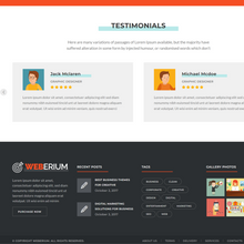 Digital Agency and SEO WordPress Responsive Website