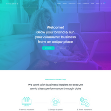 Advanced Custamized WordPress Responsive Website