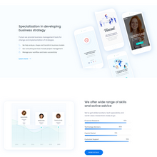 Advanced Custamized WordPress Responsive Website