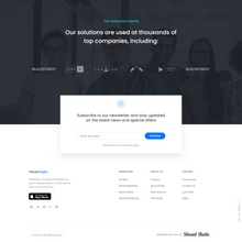 Advanced Custamized WordPress Responsive Website