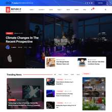 Climate News WordPress Responsive Website