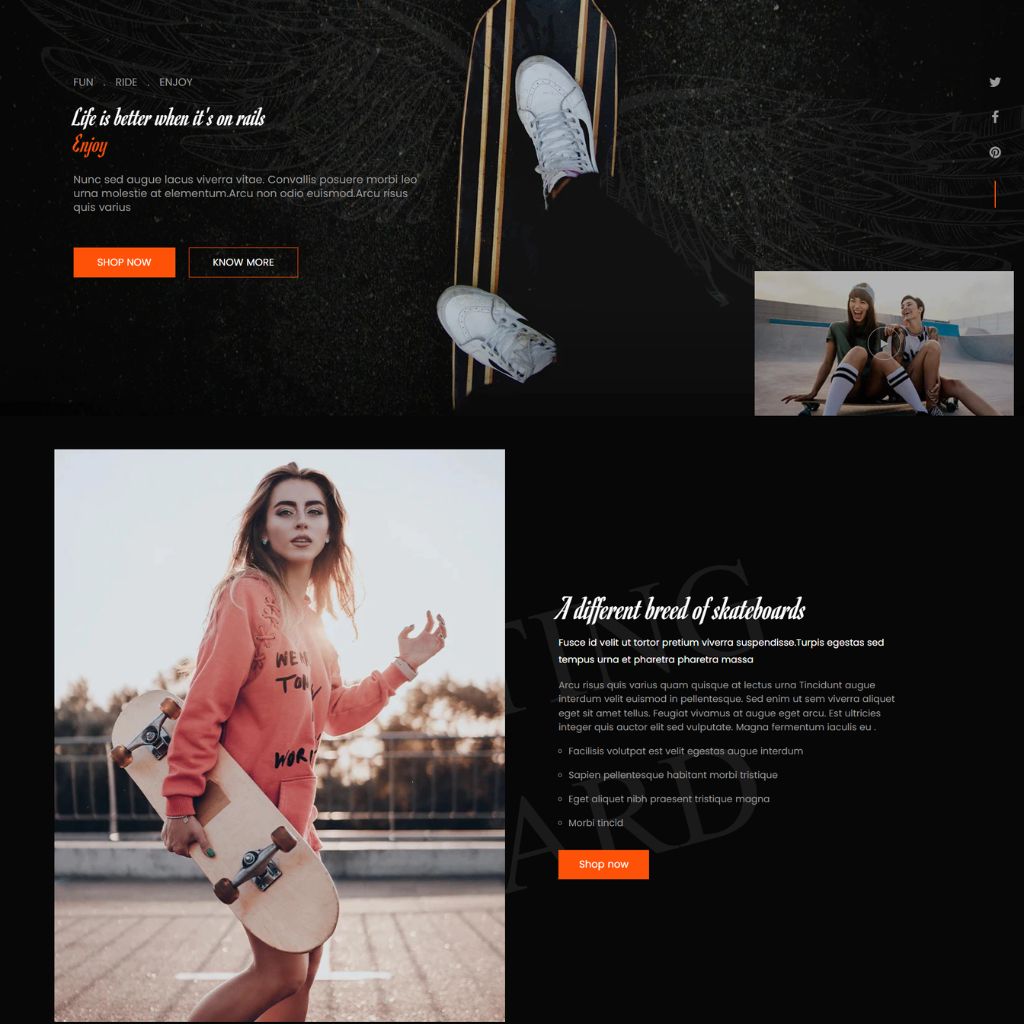 Skateboard Store Company Shopify Shopping Website