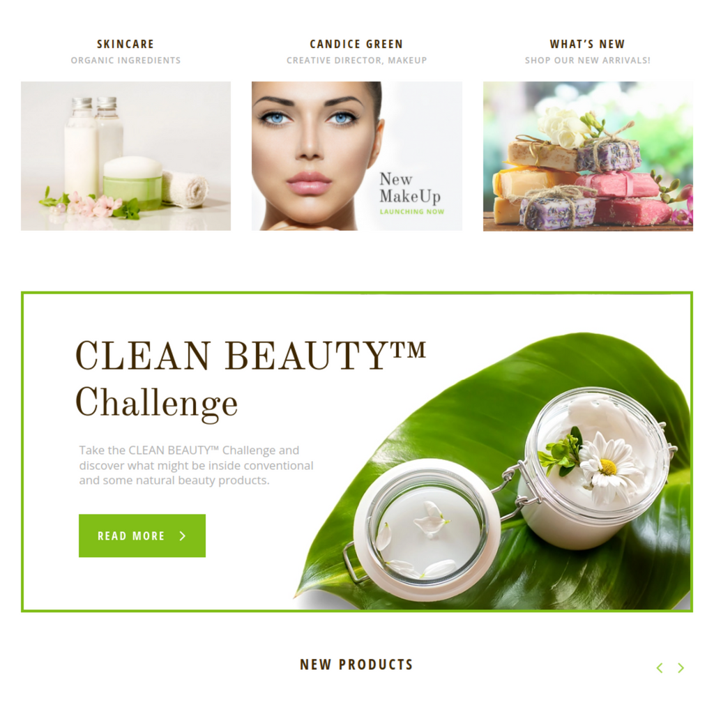 Organic Beauty Store & Natural Cosmetics WordPress Responsive Website