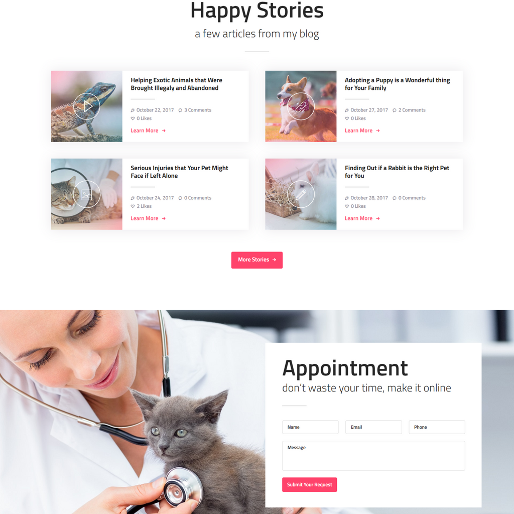 Professional Care WordPress Responsive Website