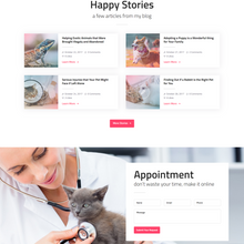 Professional Care WordPress Responsive Website