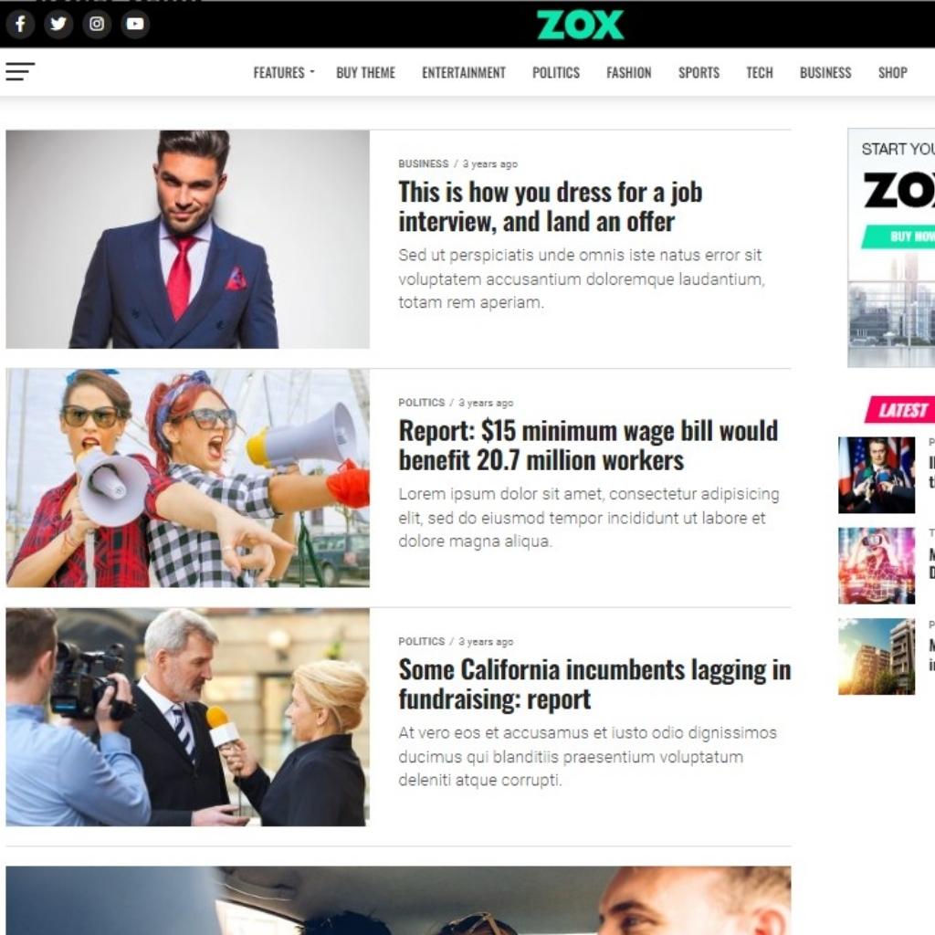 Professional News & Magazine WordPress Website