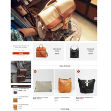 Handbag Store Shopify Website