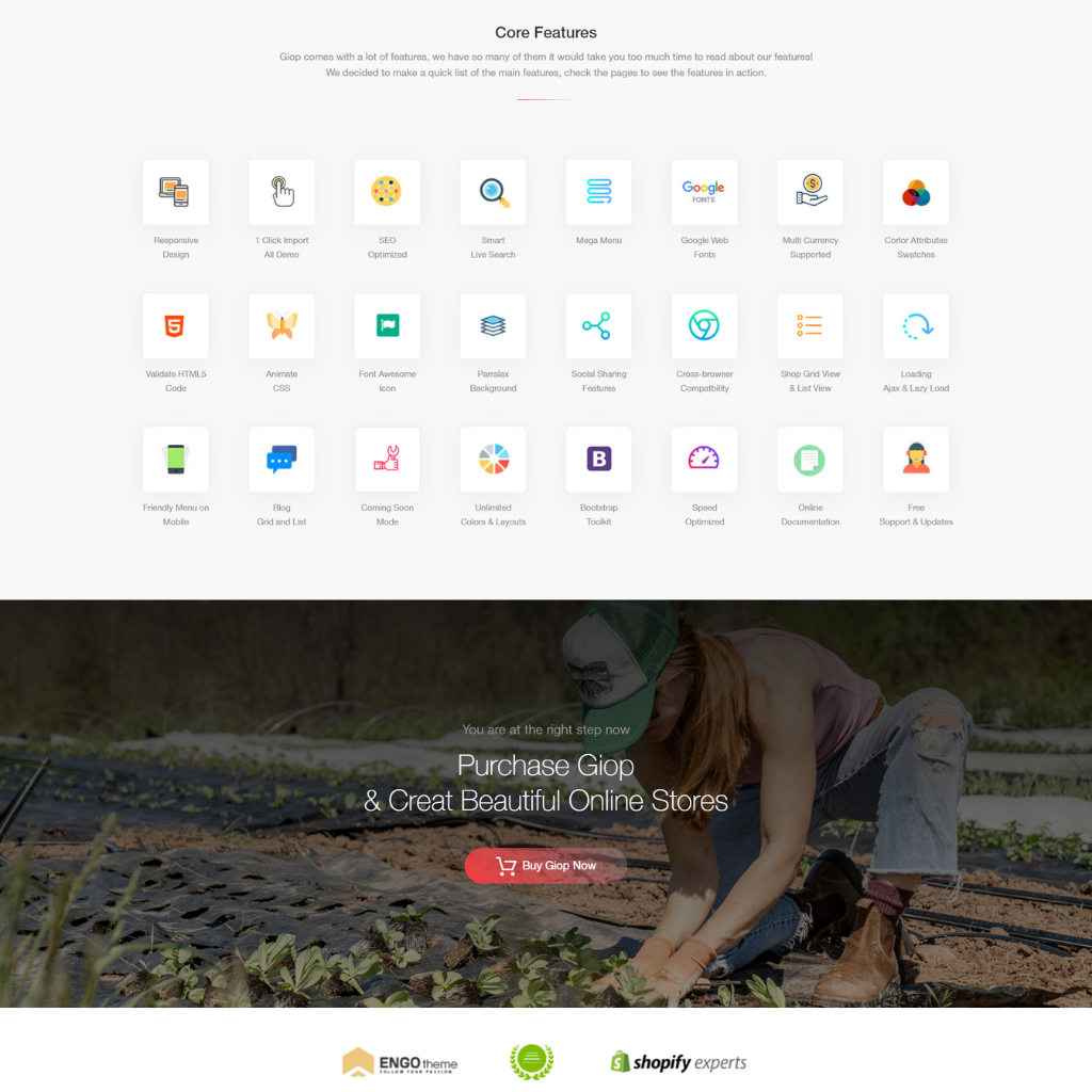 Organic Food/Fruit/Vegetables E-Commerce Shopify website