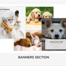 Pets Store Responsive Shopify Shopping Website
