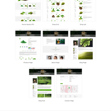 Matcha Shopify Website