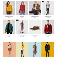 Fashionable Dress & Multipurpose Shopping Website